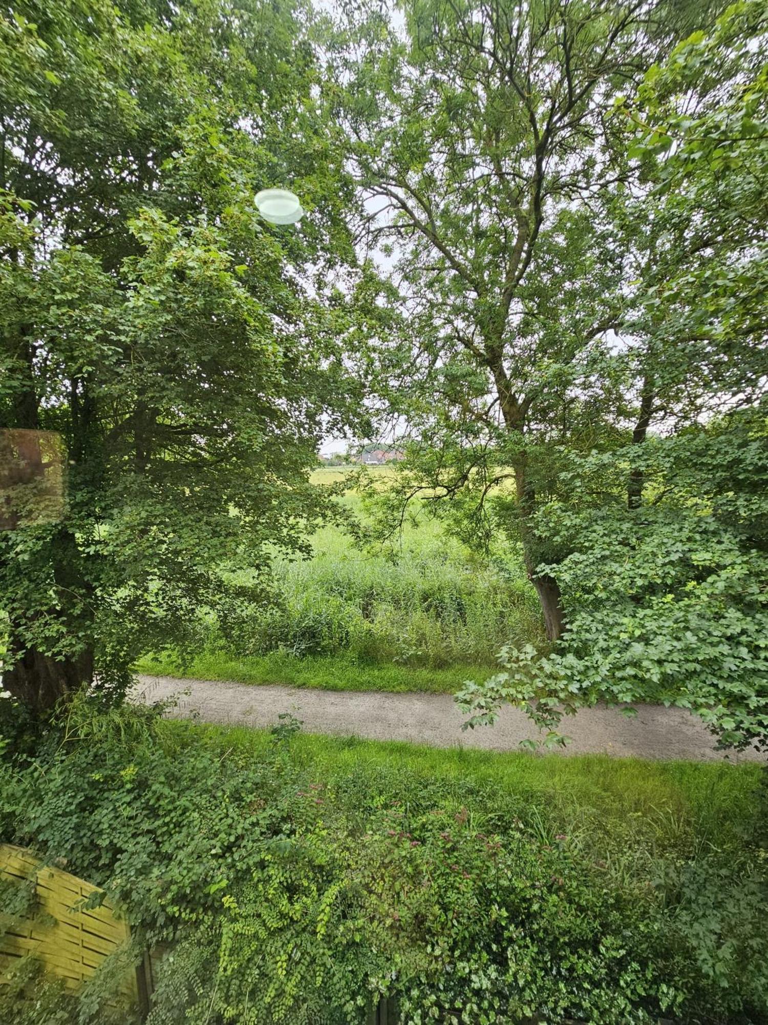 Tautraum Suite Mit Whirlpool Und Gruenem Ausblick Wilhelmshaven Eksteriør billede
